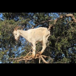 Meet your Posher, Derrick